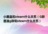 小黑盒和steam什么關(guān)系（G胖是誰(shuí)g胖和steam什么關(guān)系）
