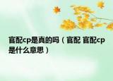 官配cp是真的嗎（官配 官配cp是什么意思）