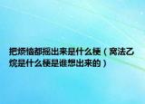把煩惱都搖出來(lái)是什么梗（窩法乙烷是什么梗是誰(shuí)想出來(lái)的）
