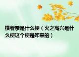 橫著親是什么梗（火之高興是什么梗這個(gè)梗是咋來的）