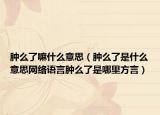 腫么了嘛什么意思（腫么了是什么意思網(wǎng)絡(luò)語言腫么了是哪里方言）