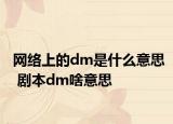 網(wǎng)絡(luò)上的dm是什么意思 劇本dm啥意思