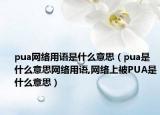 pua網(wǎng)絡(luò)用語是什么意思（pua是什么意思網(wǎng)絡(luò)用語,網(wǎng)絡(luò)上被PUA是什么意思）