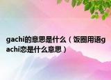 gachi的意思是什么（飯圈用語(yǔ)gachi戀是什么意思）