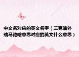 中文名對(duì)應(yīng)的英文名字（三克油外瑞馬馳啥意思對(duì)應(yīng)的英文什么意思）