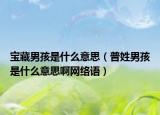 寶藏男孩是什么意思（普姓男孩是什么意思啊網(wǎng)絡(luò)語）