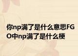 你np滿了是什么意思FGO中np滿了是什么梗