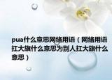 pua什么意思網(wǎng)絡(luò)用語（網(wǎng)絡(luò)用語扛大旗什么意思為別人扛大旗什么意思）