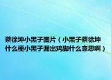 蔡徐坤小黑子圖片（小黑子蔡徐坤什么梗小黑子漏出雞腳什么意思?。? /></span></a>
                        <h2><a  title=