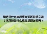 傲嬌是什么意思褒義詞還是貶義詞（泡菜妹是什么意思是貶義詞嗎）