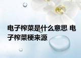 電子榨菜是什么意思 電子榨菜梗來源
