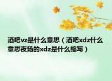 酒吧vz是什么意思（酒吧xdz什么意思夜場(chǎng)的xdz是什么縮寫(xiě)）