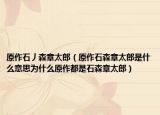 原作石丿森章太郎（原作石森章太郎是什么意思為什么原作都是石森章太郎）