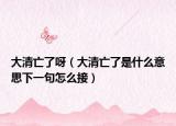 大清亡了呀（大清亡了是什么意思下一句怎么接）