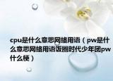 cpu是什么意思網(wǎng)絡(luò)用語(yǔ)（pw是什么意思網(wǎng)絡(luò)用語(yǔ)飯圈時(shí)代少年團(tuán)pw什么梗）
