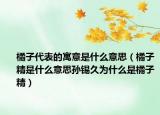橘子代表的寓意是什么意思（橘子精是什么意思孫錫久為什么是橘子精）