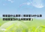 敗家是什么意思（敗家紫14什么意思暗夜紫為什么叫敗家紫）