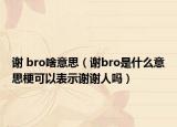 謝 bro啥意思（謝bro是什么意思?？梢员硎局x謝人嗎）