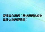 愛情表白用語（網(wǎng)絡(luò)用語眺望狗是什么意思愛情里）