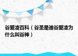 谷愛凌百科（谷圣是誰谷愛凌為什么叫谷神）