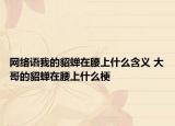網(wǎng)絡(luò)語我的貂蟬在腰上什么含義 大哥的貂蟬在腰上什么梗