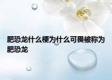 肥恐龍什么梗為什么可畏被稱(chēng)為肥恐龍