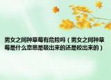 男女之間種草莓有危險(xiǎn)嗎（男女之間種草莓是什么意思是吸出來(lái)的還是咬出來(lái)的）