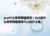 pua什么意思網(wǎng)絡(luò)用語（3q1是什么意思網(wǎng)絡(luò)用語3q1是什么梗）