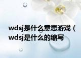 wdsj是什么意思游戲（wdsj是什么的縮寫(xiě)