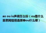 ao ou iu聲調(diào)怎么標(biāo)（ou是什么意思網(wǎng)絡(luò)用語(yǔ)原神ou什么梗）