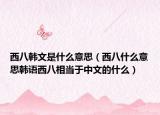 西八韓文是什么意思（西八什么意思韓語(yǔ)西八相當(dāng)于中文的什么）