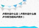 盧員外是什么官（盧員外是什么梗盧卡庫為啥叫盧員外）