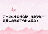 開水燙紅牛是什么梗（開水燙紅牛是什么意思喝了有什么反應）