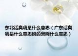 東北話臭嗨是什么意思（廣東話臭嗨是什么意思媽的臭嗨什么意思）
