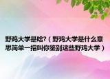 野雞大學是啥?（野雞大學是什么意思簡單一招叫你鑒別這些野雞大學）