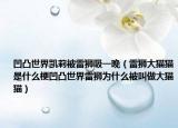 凹凸世界凱莉被雷獅吸一晚（雷獅大貓貓是什么梗凹凸世界雷獅為什么被叫做大貓貓）
