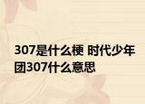 307是什么梗 時代少年團307什么意思
