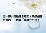 王一博小奧是什么意思（奶膘是什么意思王一博嬰兒奶膘什么梗）