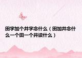 田字加個井字念什么（田加井念什么一個田一個井讀什么）