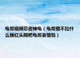 龜哥視頻忍者神龜（龜哥撒不拉什么梗紅頭網(wǎng)吧龜哥表情包）