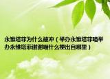 永雛塔菲為什么被沖（舉辦永雛塔菲喵舉辦永雛塔菲謝謝喵什么梗出自哪里）