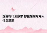 想屁吃什么意思 你在想屁吃罵人什么意思