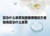 捉急什么意思飯圈是哪里的方言 智商捉急什么意思