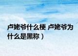 盧姥爺什么梗 盧姥爺為什么是黑稱）