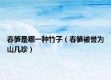 春筍是哪一種竹子（春筍被譽(yù)為山幾珍）
