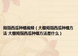 拇指西瓜種植視頻（大棚拇指西瓜種植方法 大棚拇指西瓜種植方法是什么）