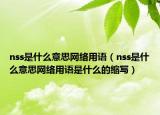 nss是什么意思網(wǎng)絡(luò)用語(yǔ)（nss是什么意思網(wǎng)絡(luò)用語(yǔ)是什么的縮寫）