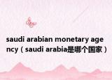 saudi arabian monetary agency（saudi arabia是哪個(gè)國家）