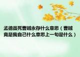 孟德雖死曹賊永存什么意思（曹賊竟是我自己什么意思上一句是什么）