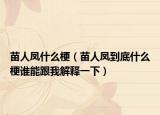 苗人鳳什么梗（苗人鳳到底什么梗誰能跟我解釋一下）